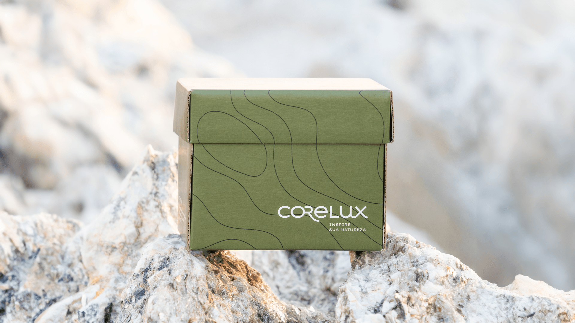 Conheça Nosso Box de Amostras para Arquitetos Profissionais